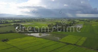 空中拍摄亚洲稻田美丽的雨天和绿色的稻田